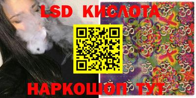 гидра Дмитров