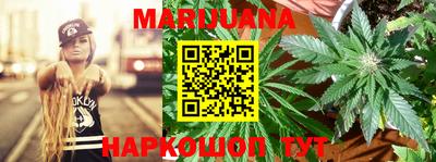 гидра Дмитров