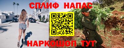 a pvp Долгопрудный