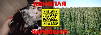 гидра Дмитров