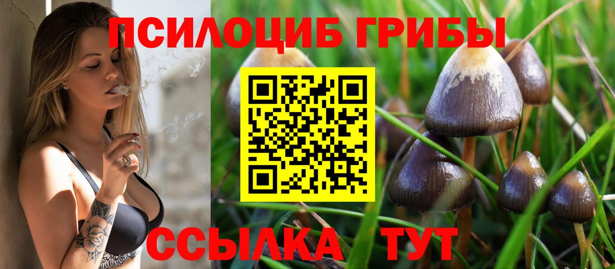 Псилоцибиновые грибы GOLDEN TEACHER  Псилоцибиновые грибы прущие грибы  Белогорск  Вход с VPN 